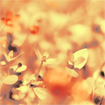 allure_by_nibbia-d3az1ip (150x150, 54Kb)