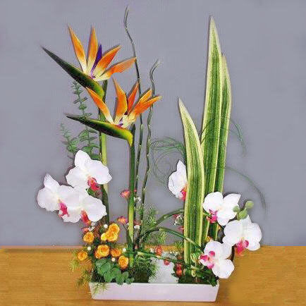 ikebana32 (434x434, 76Kb)