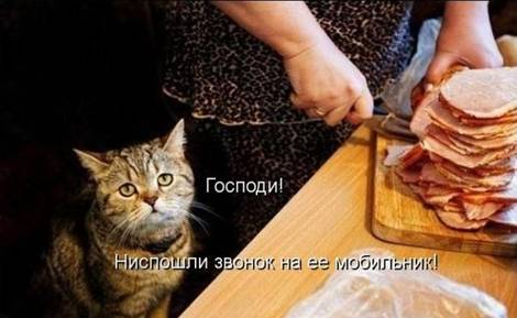 securedownload (9) (470x289, 23Kb)