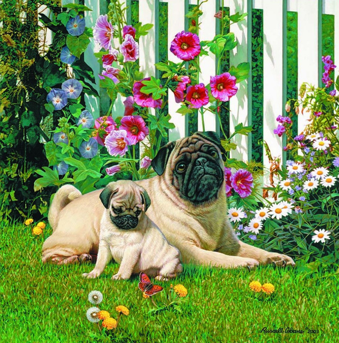 giclee-pug (690x700, 757Kb)