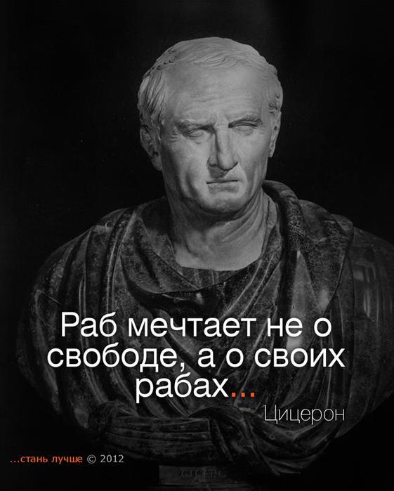 531957_328297563891875_937450668_n (561x700, 46Kb)