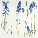  Grape Hyacinth Tablecloth (659x672, 351Kb)