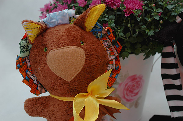 DSC_2120 (600x399, 113Kb)