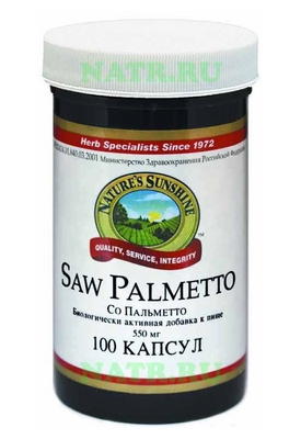 Saw_Palmetto (275x400, 60Kb)