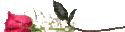 73101395_0b0dcf707f31370400a47fc3fca36391.jpg (125x32, 7Kb)