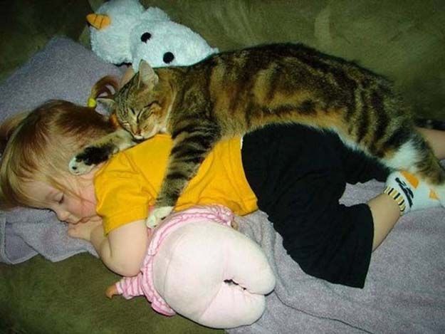 babies_and_cats_01511_012 (625x469, 51Kb)