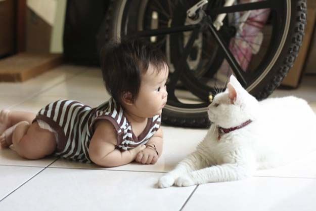 babies_and_cats_01511_013 (625x417, 34Kb)