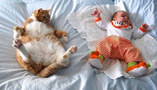 babies_and_cats_01511_014 (625x400, 45Kb)