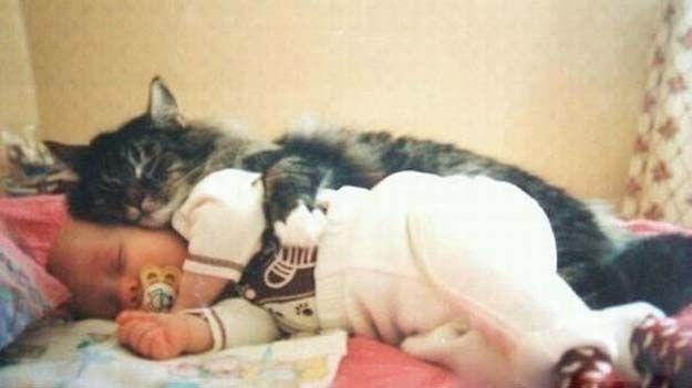 babies_and_cats_01511_015 (625x400, 28Kb)
