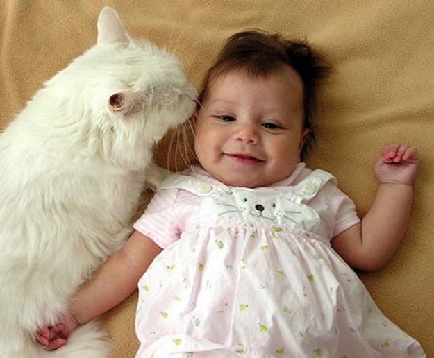 babies_and_cats_01511_019 (625x516, 48Kb)