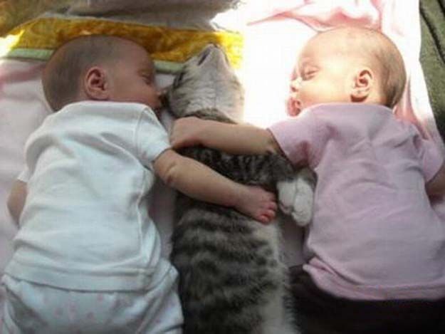 babies_and_cats_01511_020 (625x516, 35Kb)