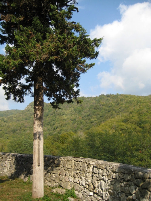 IMG_1911 (525x700, 337Kb)