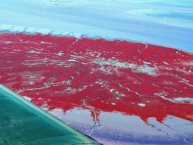 Red-beach-3 (640x480, 75Kb)