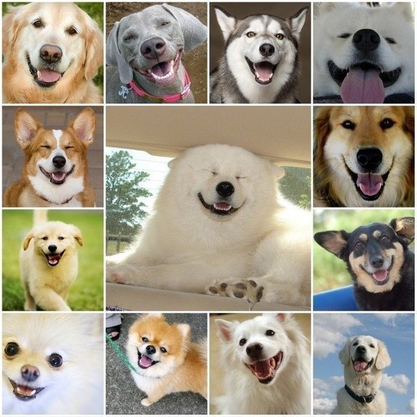 Oh3XeE9OPnI (604x604, 96Kb)