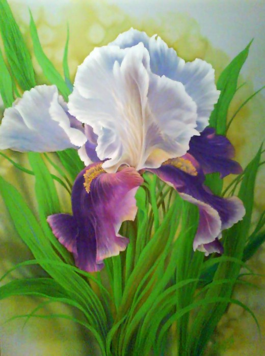 f0_331709220 (520x700, 73Kb)