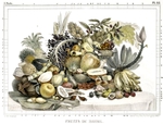  75 Fruits de Bresil.1834-1839 (700x532, 256Kb)