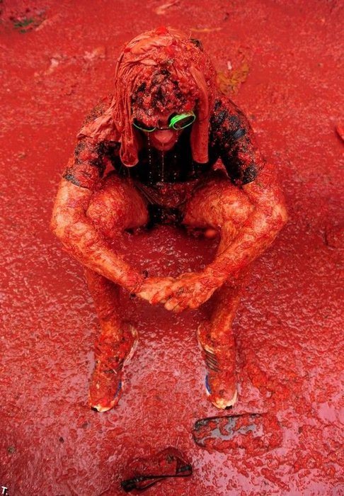 tomatina_14 (486x700, 103Kb)