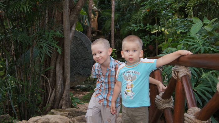 DSC01034 (700x393, 143Kb)