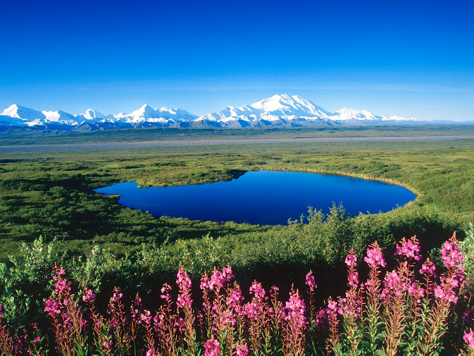 Tundra Pond, Mount McKinley, Denali National Park, Alaska (673x505, 174Kb)