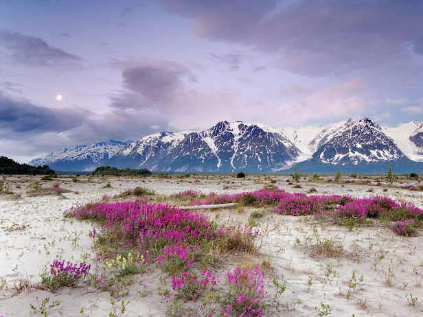 Moonrise, St. Elias Mountains, Alaska (616x462, 124Kb)