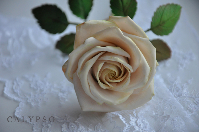 DSC_0007 (700x464, 338Kb)