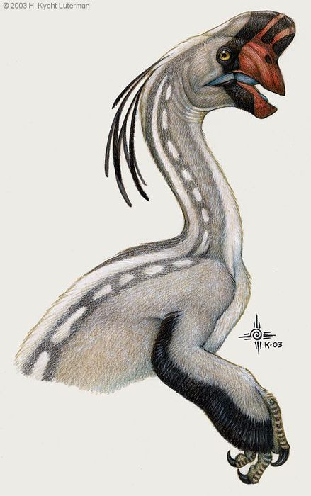 Oviraptor_philoceratops (439x700, 51Kb)