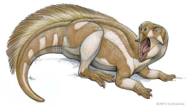 Yawning_Psittacaosaurus_by_kyoht (600x342, 42Kb)