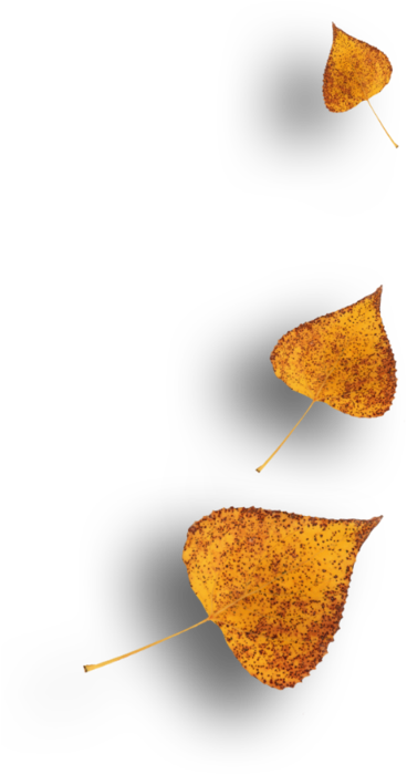 AutumnMelody_by GalinaV_el (58) (368x700, 119Kb)