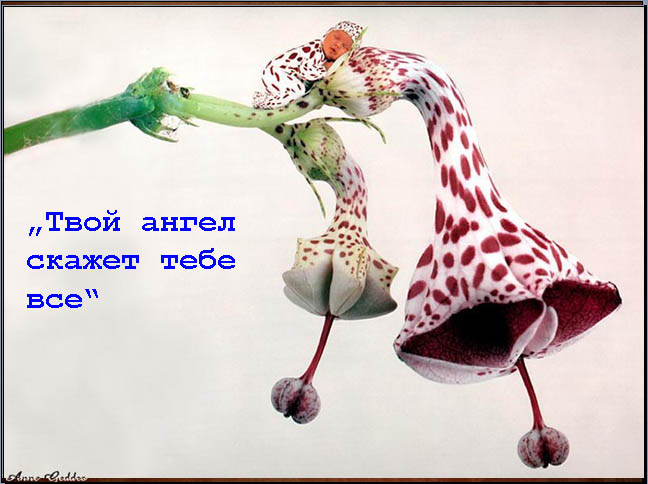 4826692_rebenok_007 (648x484, 51Kb)
