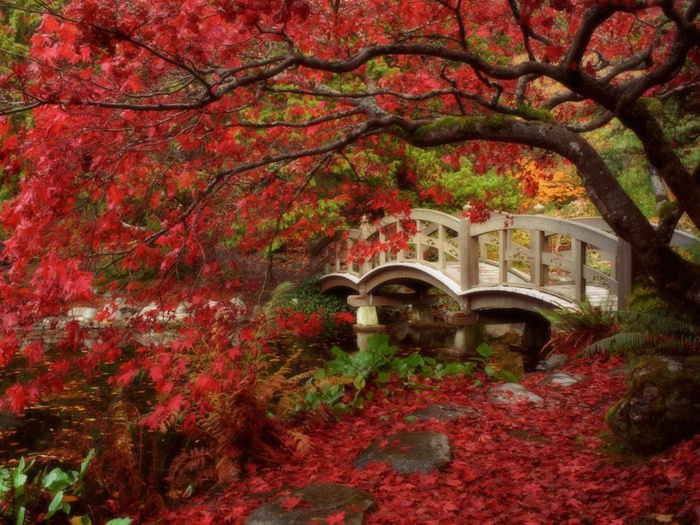 Japanese Garden, Royal Roads University, British Columbia (700x525, 198Kb)
