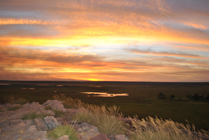 kakadu (1) (700x468, 158Kb)