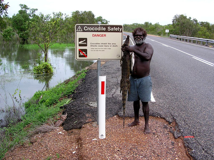 kakadu (13) (700x523, 212Kb)