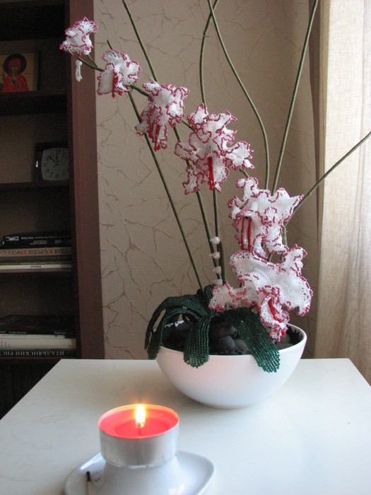IMG_3583 (525x700, 99Kb)