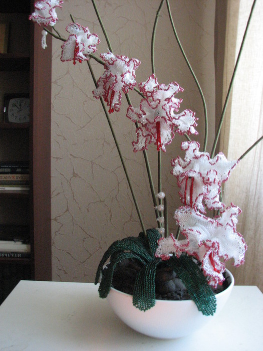 IMG_3585 (525x700, 106Kb)