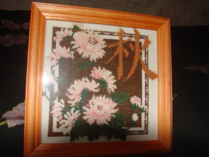 DSC06063 (700x525, 473Kb)