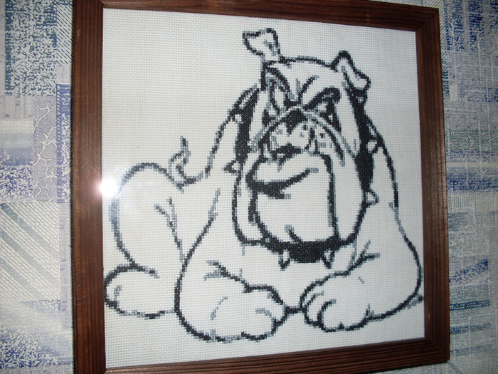 SDC10720 (700x525, 547Kb)