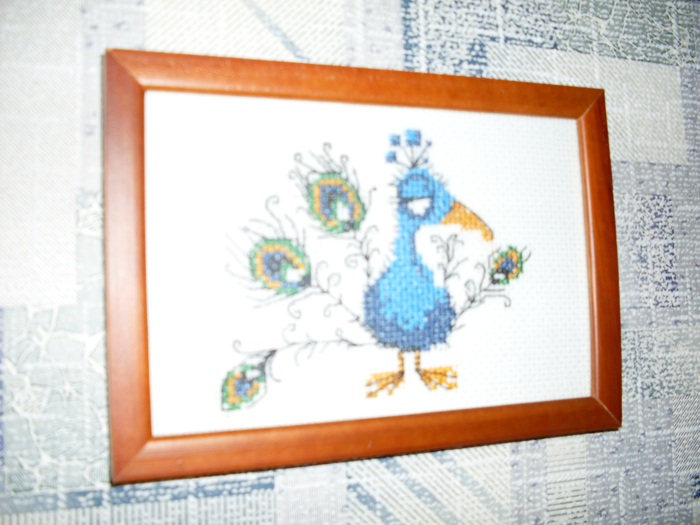 SDC10724 (700x525, 409Kb)