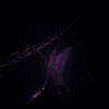 ab_11 (100x100, 51Kb)