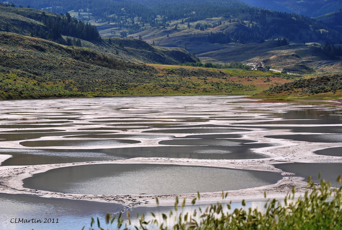 spotted lake (4) (700x469, 218Kb)