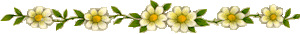 24148266_fleur42 (300x34, 6Kb)