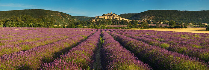 3166706_Banon_lavender (800x283, 106Kb)