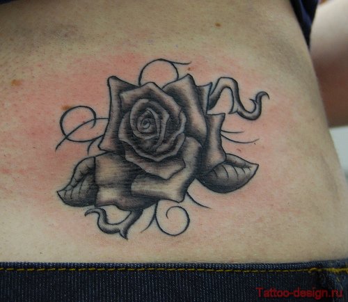 rose_021 (500x434, 52Kb)