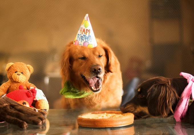 4826692_91519647_jessicatrinhphoto_09 (680x473, 111Kb)