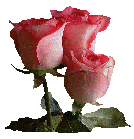 4 (549x570, 106Kb)