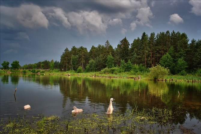 Лучшие Фото Природы Беларуси