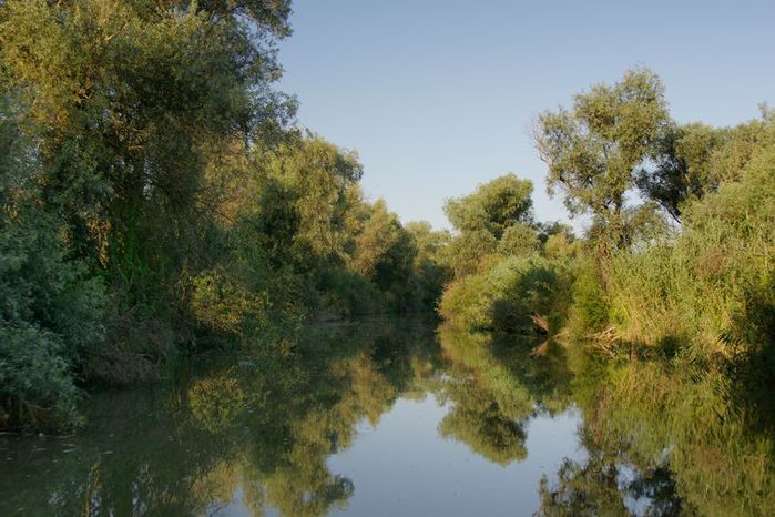 Ривер хаус димитровград фото