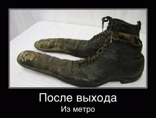  (500x380, 22Kb)