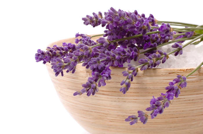 23c52_iStock_000003821574Smalllavender (700x465, 288Kb)