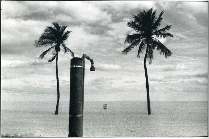 erwitt40 (700x467, 87Kb)