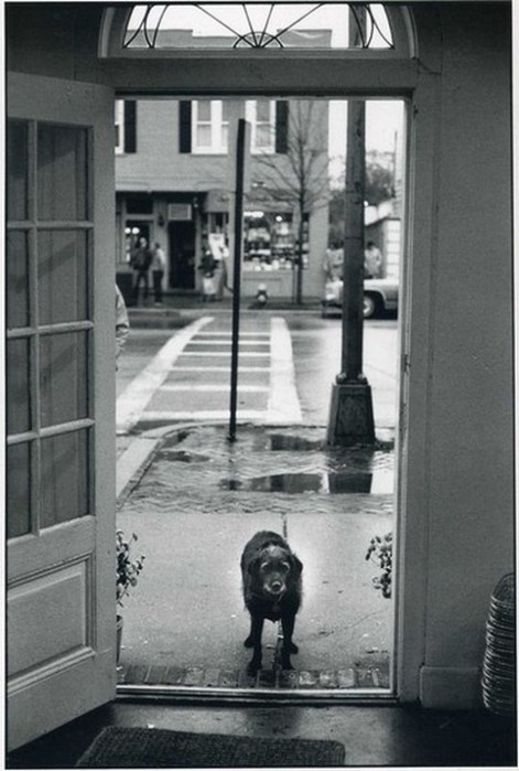 erwitt47 (471x700, 77Kb)